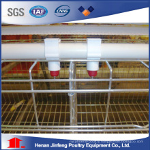 High Quality a Type Poultry Battery Frame Equipment with Galvanization